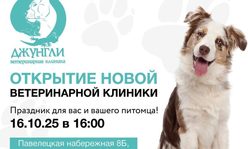 Открытие новой клиники
