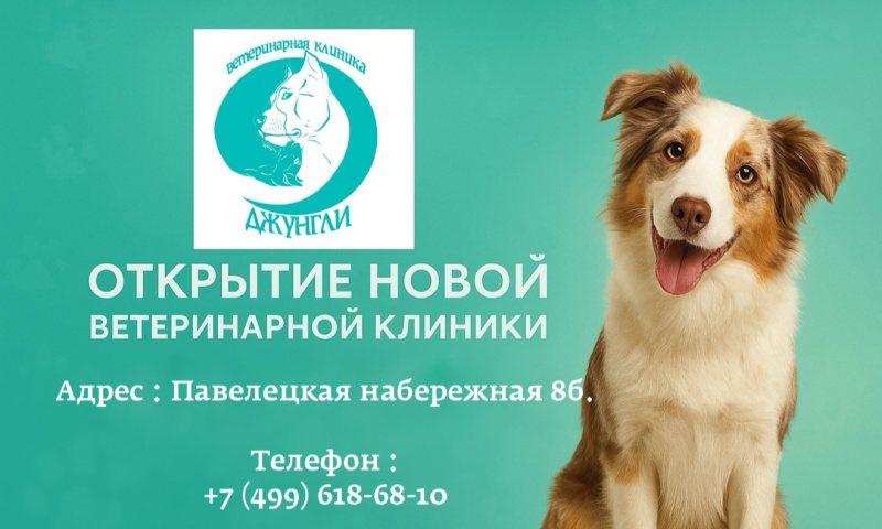 Открытие новой клиники