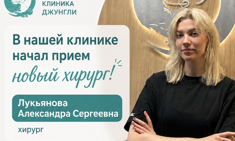 Скидка на прием
