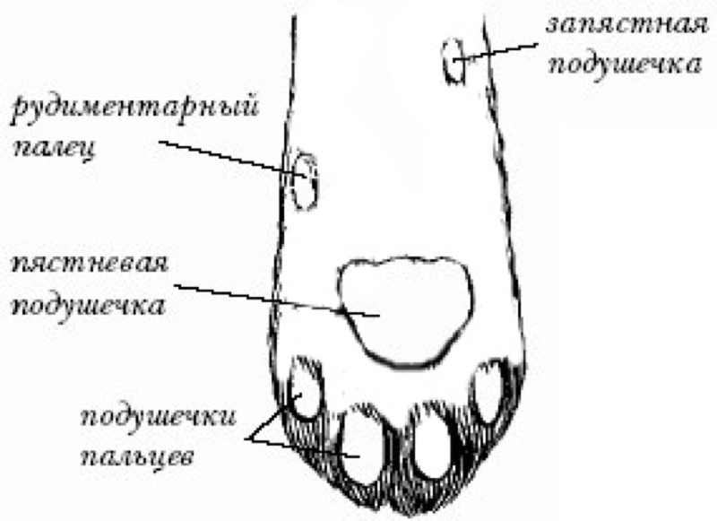 Реабилитация